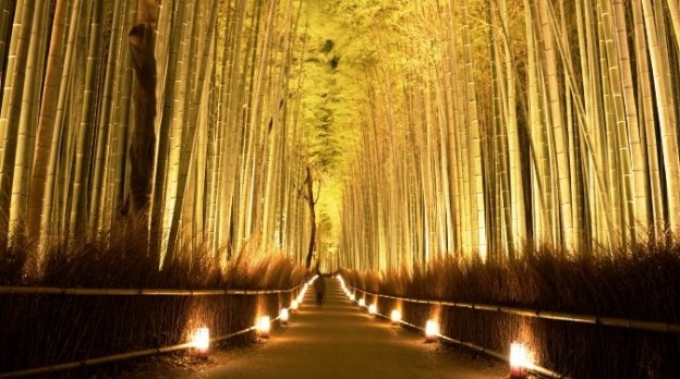 Hutan Bambu Arashiyama